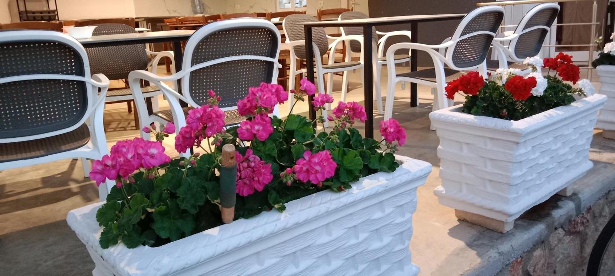 Hotel Villa Ruci 卡萨米尔 外观 照片
